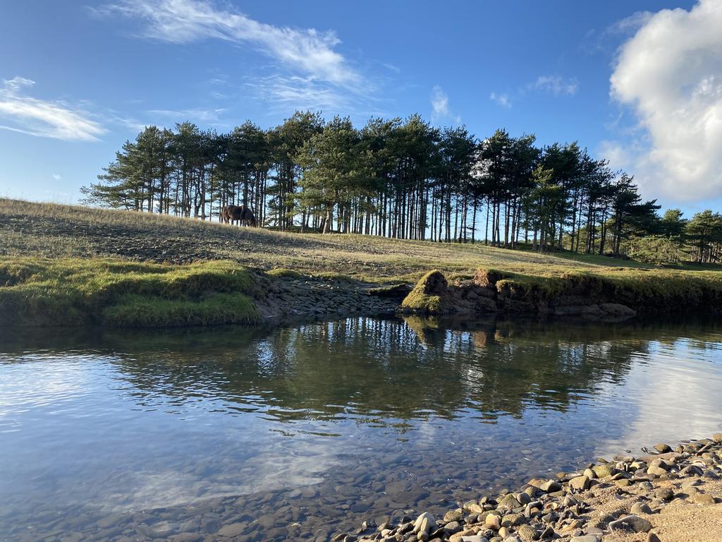Cwm Ivy Court Farm, Llanmadoc 5 bed detached house for sale £675,000