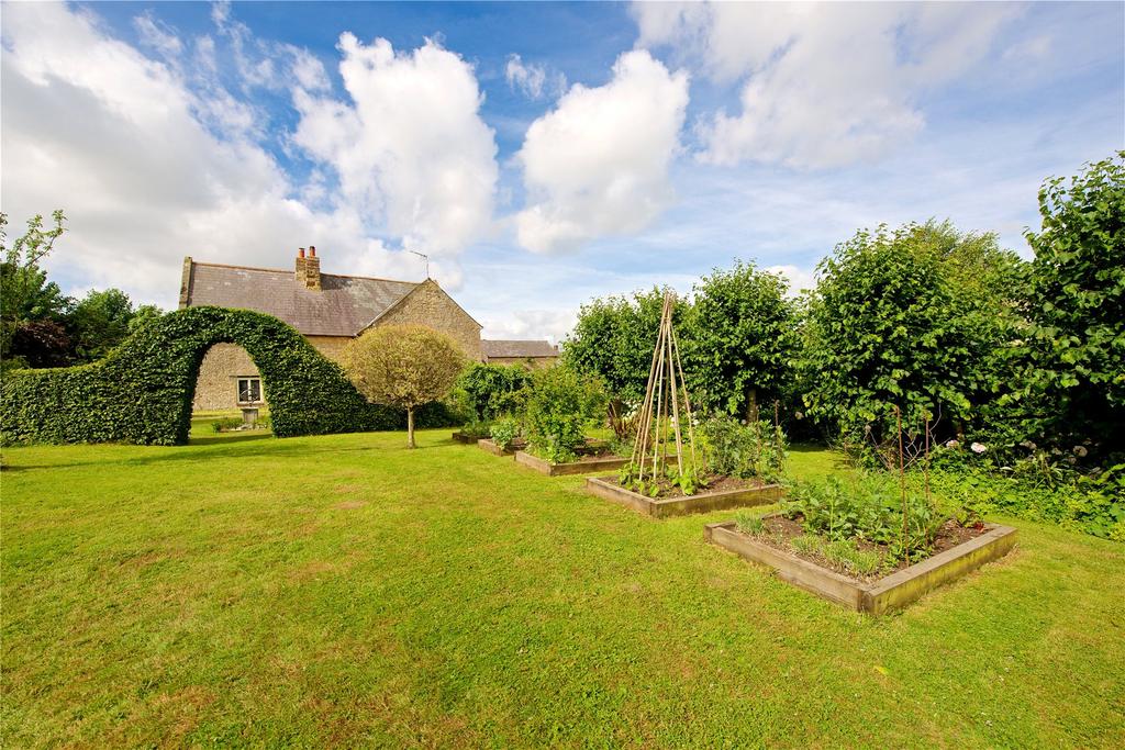 Vegetable Garden