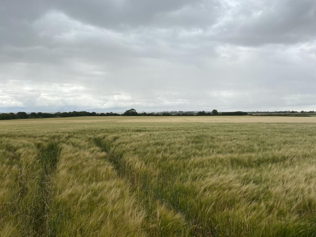 Skerne, Near Driffield Farm land £135,000