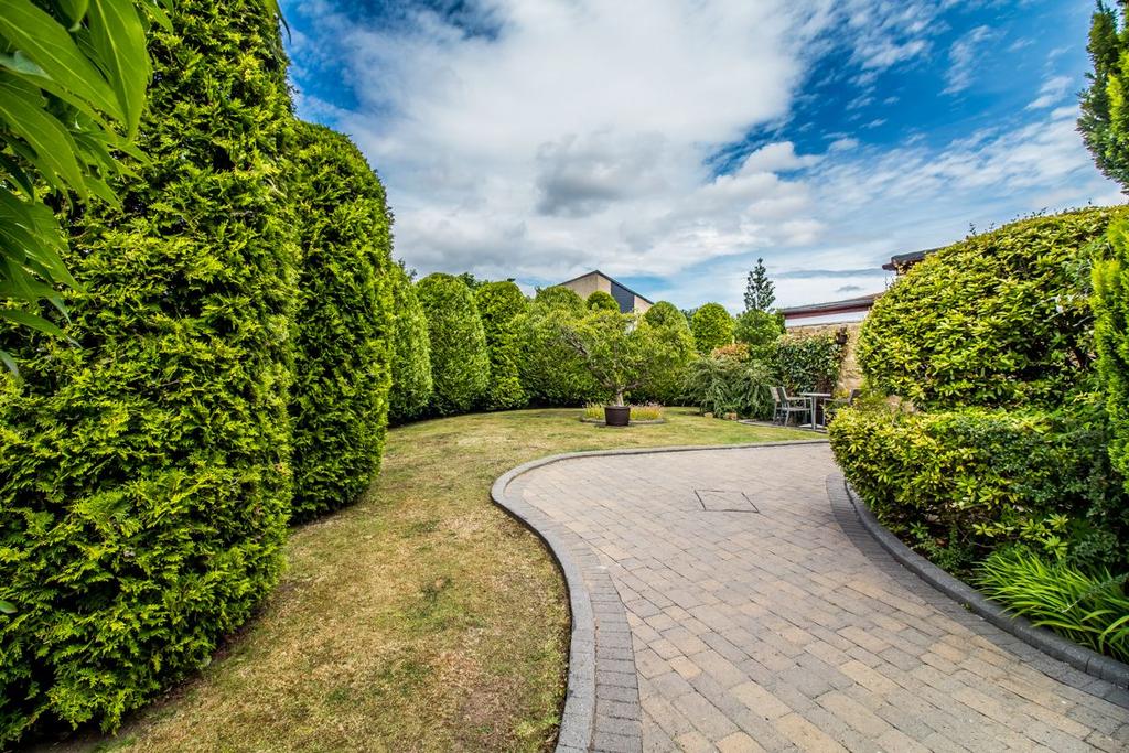 Garden 1