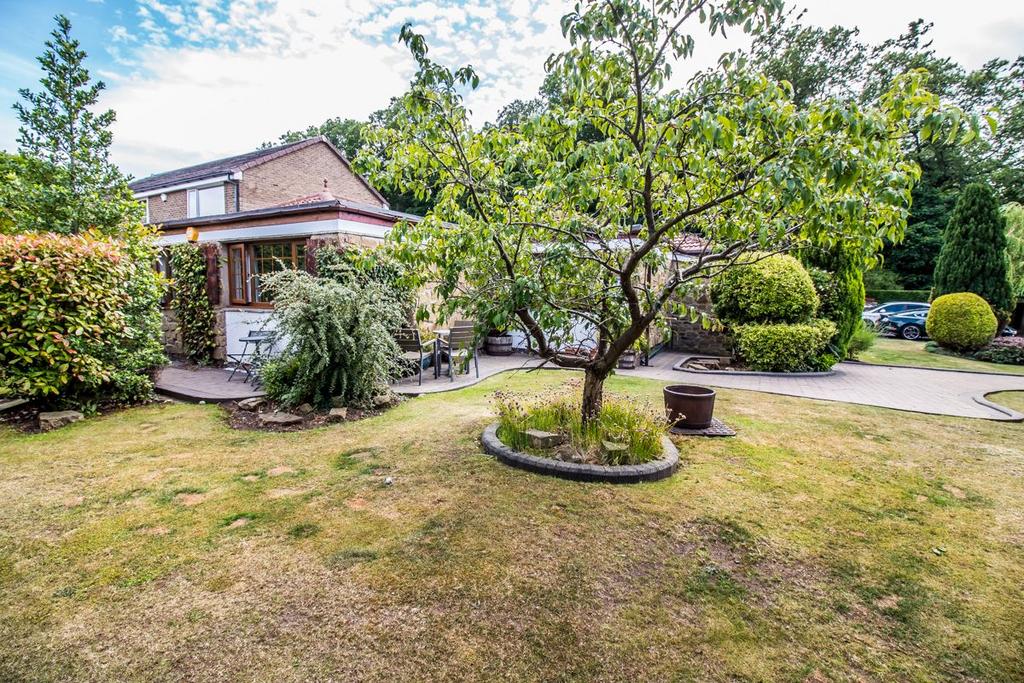 Garden 2