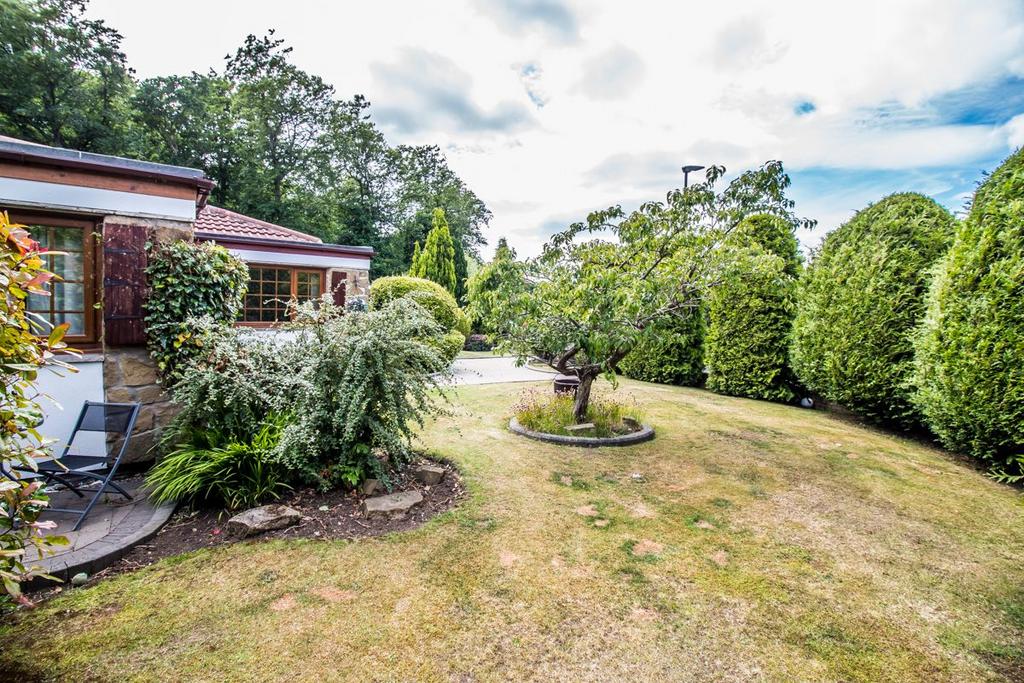 Garden 3
