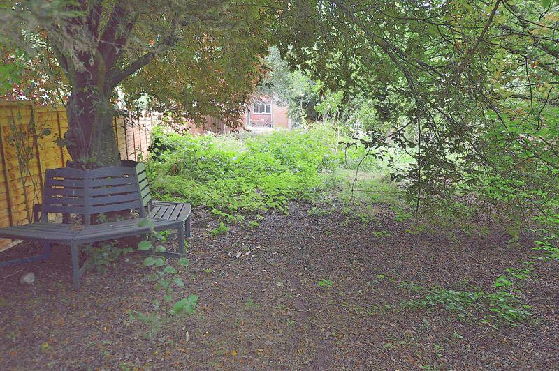 Shady Woodland Area