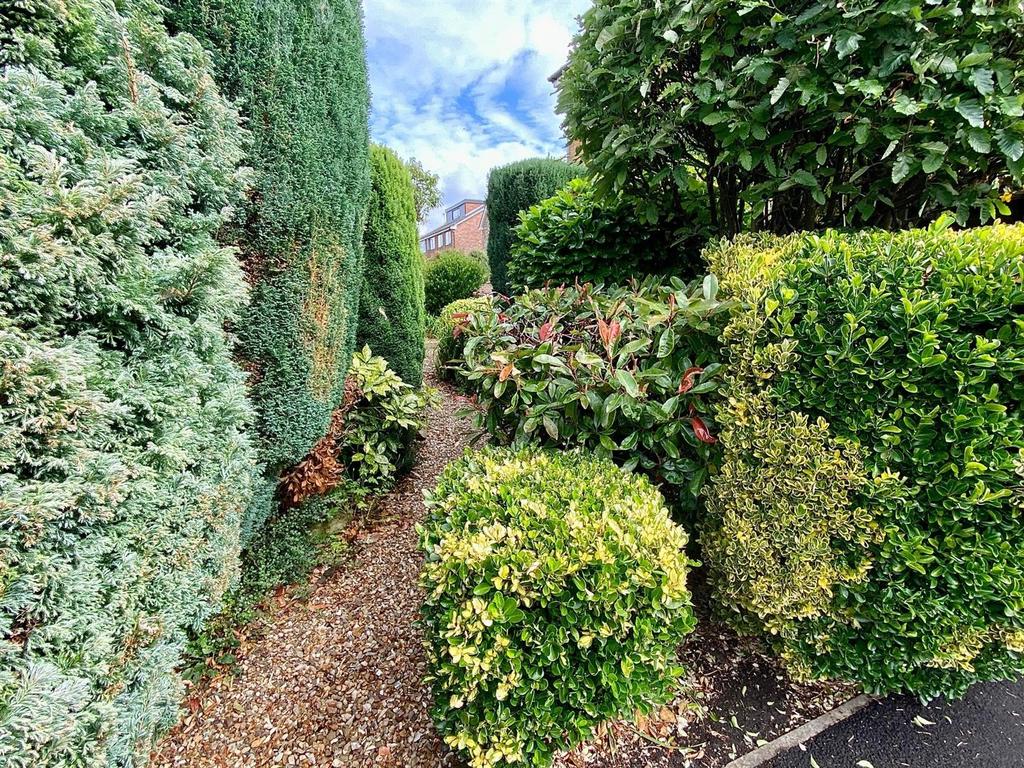 St marys avenue 27 garden.jpg