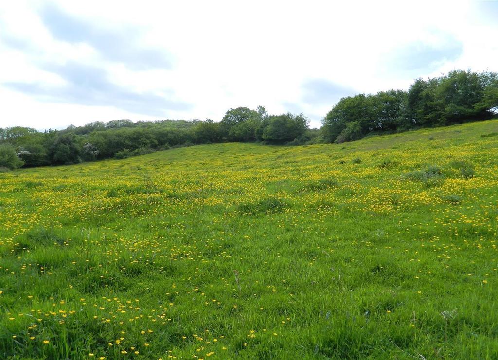 Bridford, Exeter Land for sale £50,000