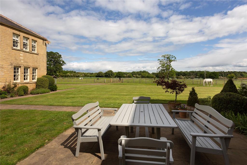 Terrace and View