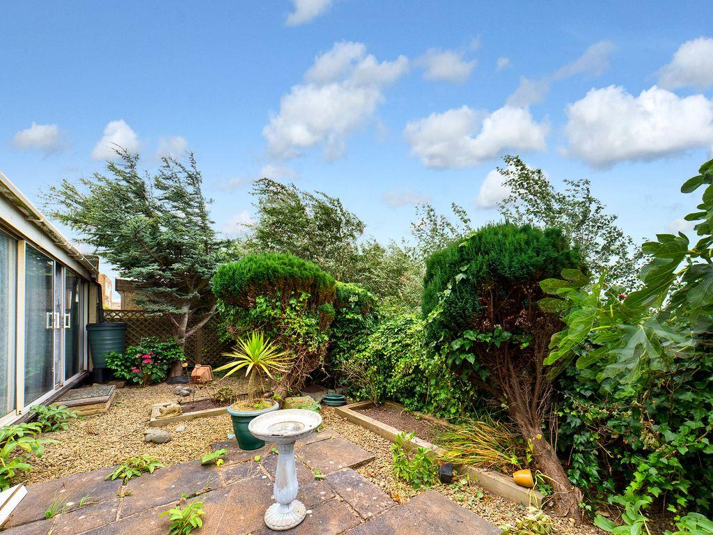 Garden at Back