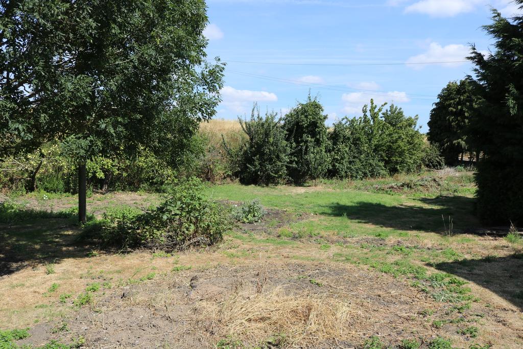 View of extended garden area