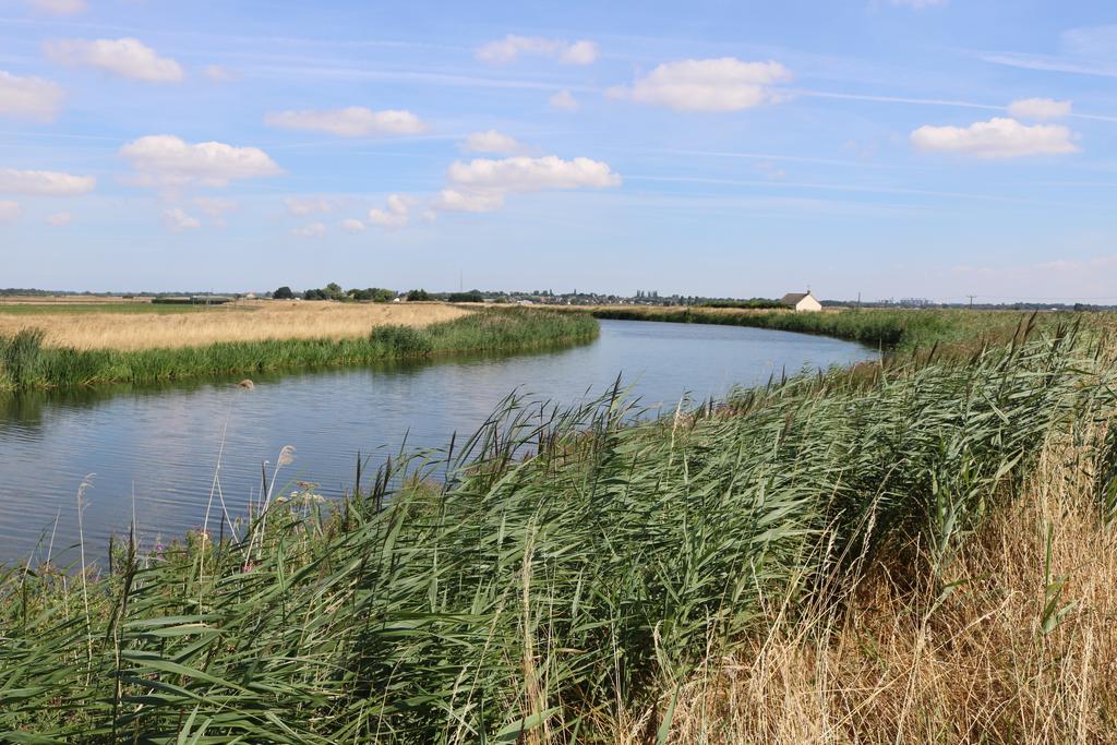View north toward Southery from nearby River Ouse