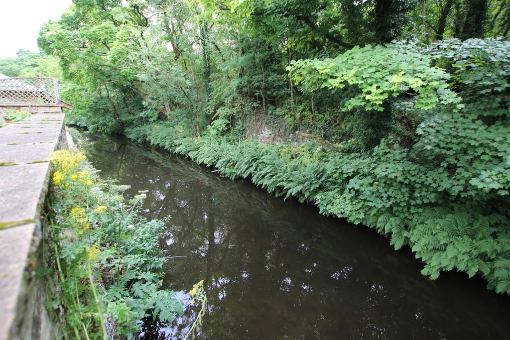 River Outlook