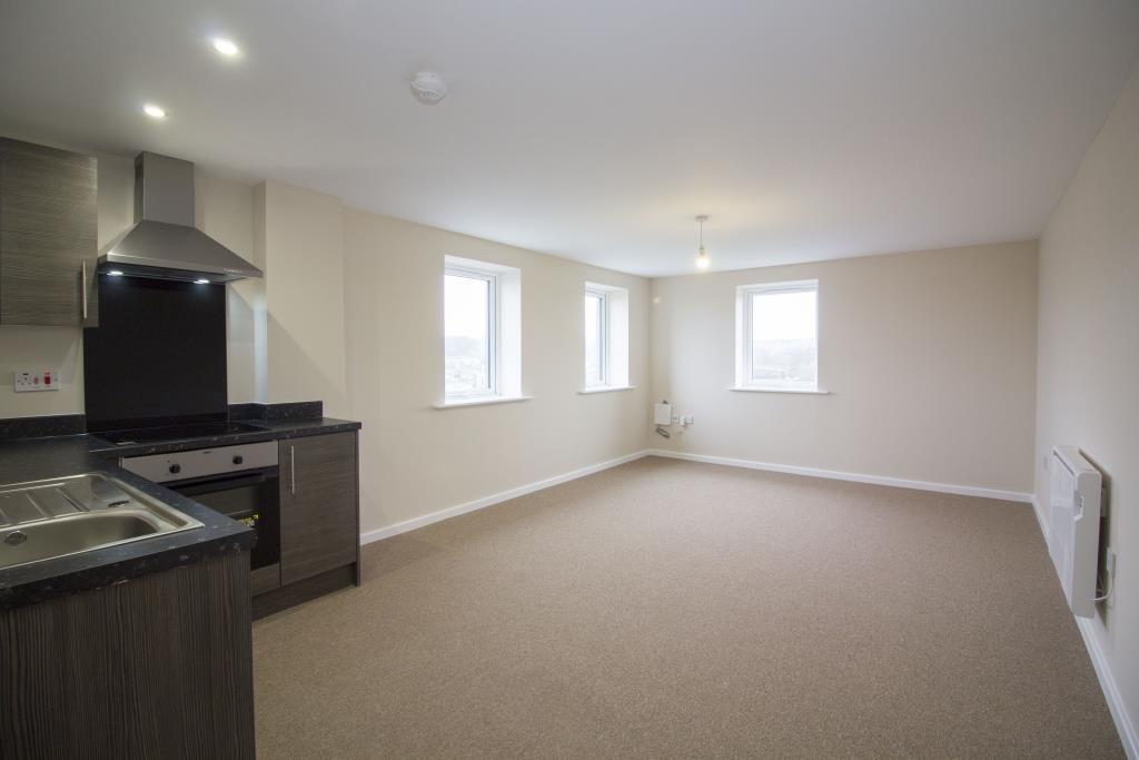 Open Plan Living and Kitchen Area