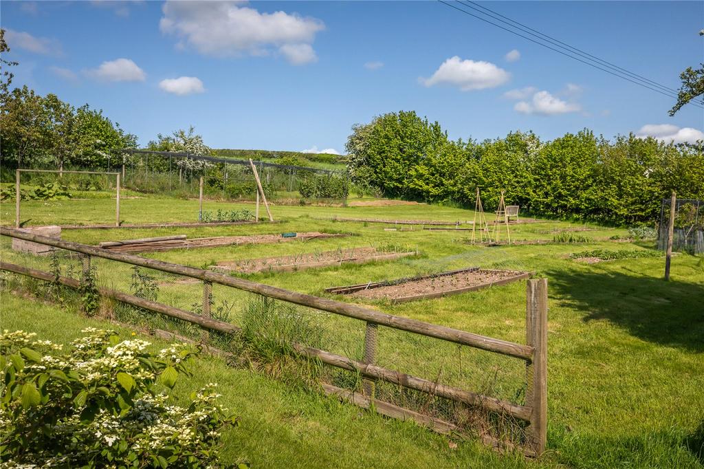 Vegetable Plot