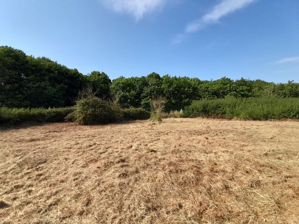 1.00 Acres Pulley Lane Land
