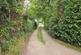 Lane