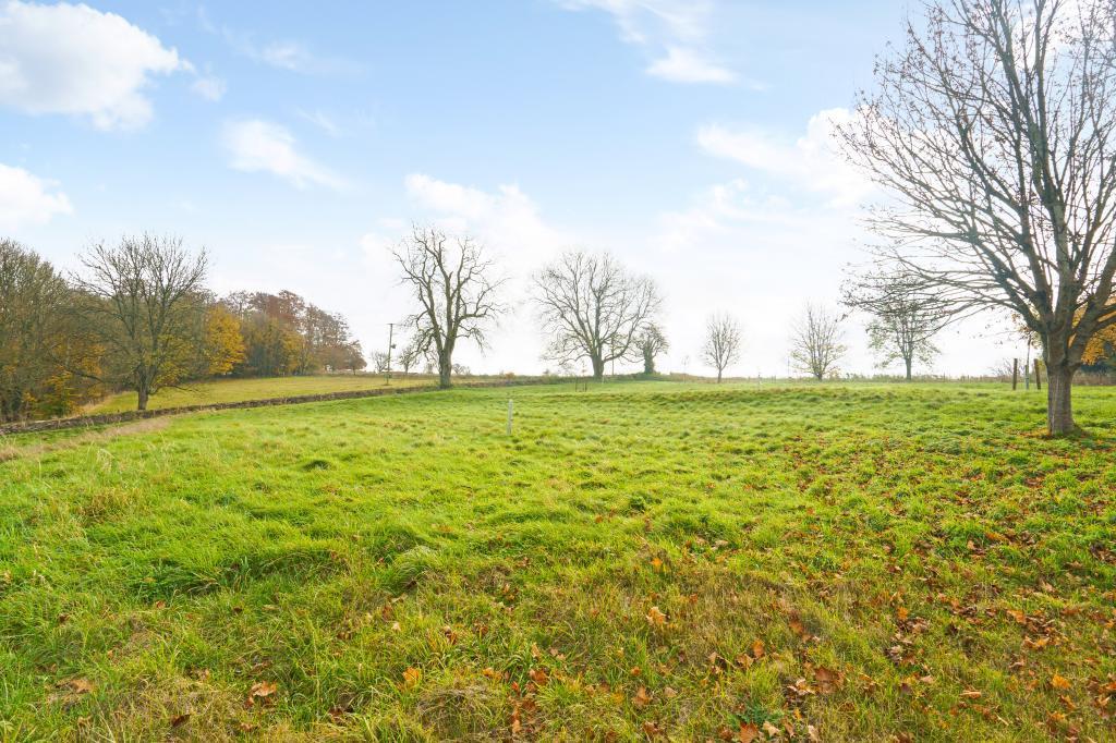 Meadow
