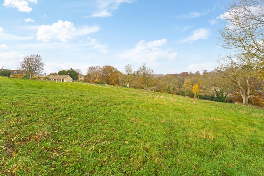 Meadow