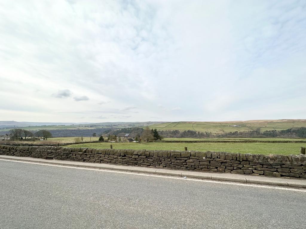 Photograph 15