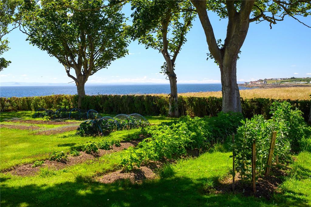 Vegetable Garden