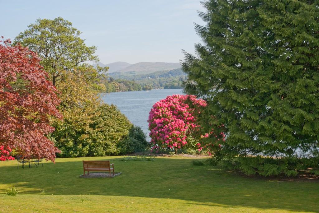 Communal Grounds and View