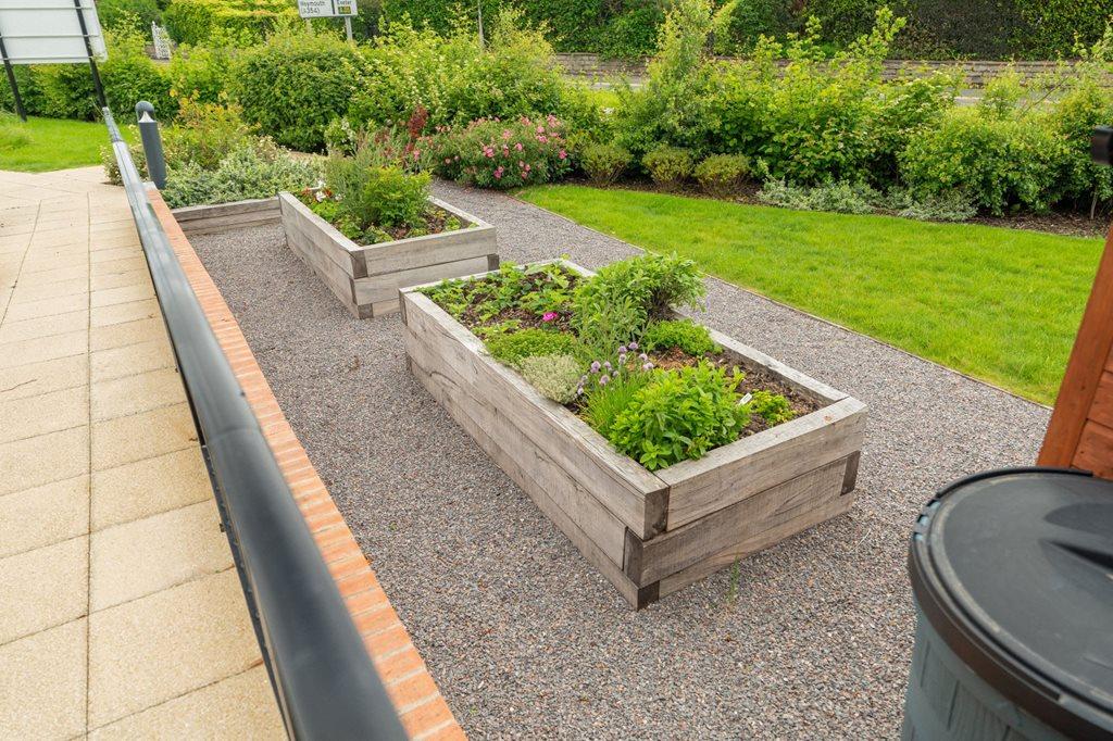 Gordon Court's Gardens