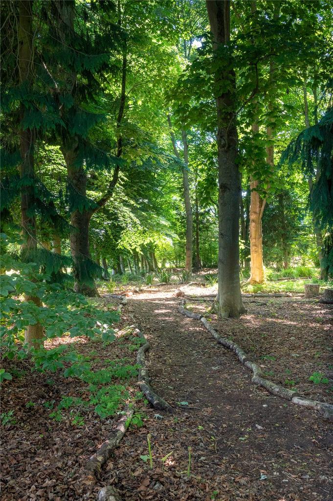 Woodland Path