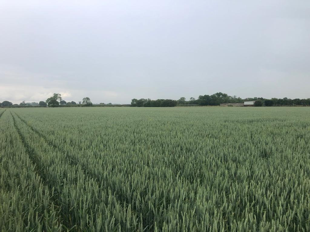 Gilberdyke HU15 Farm land for sale £215,000