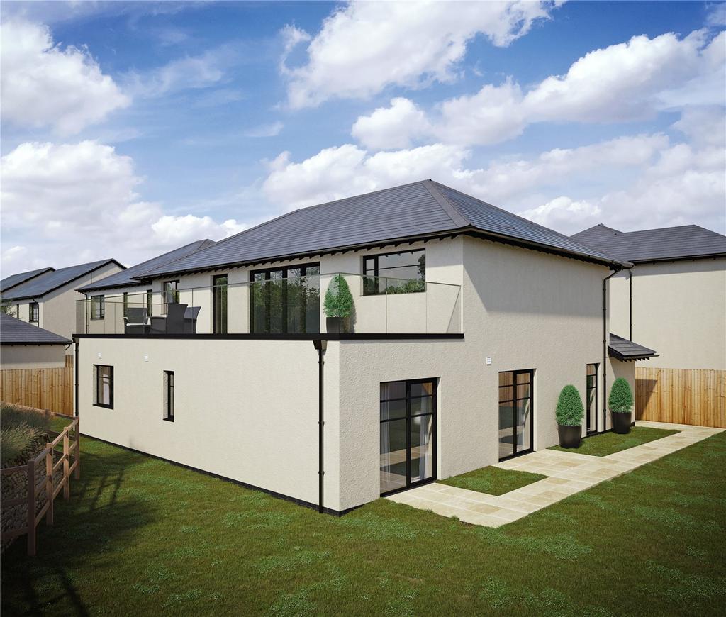 Rear Elevation