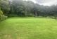 Field