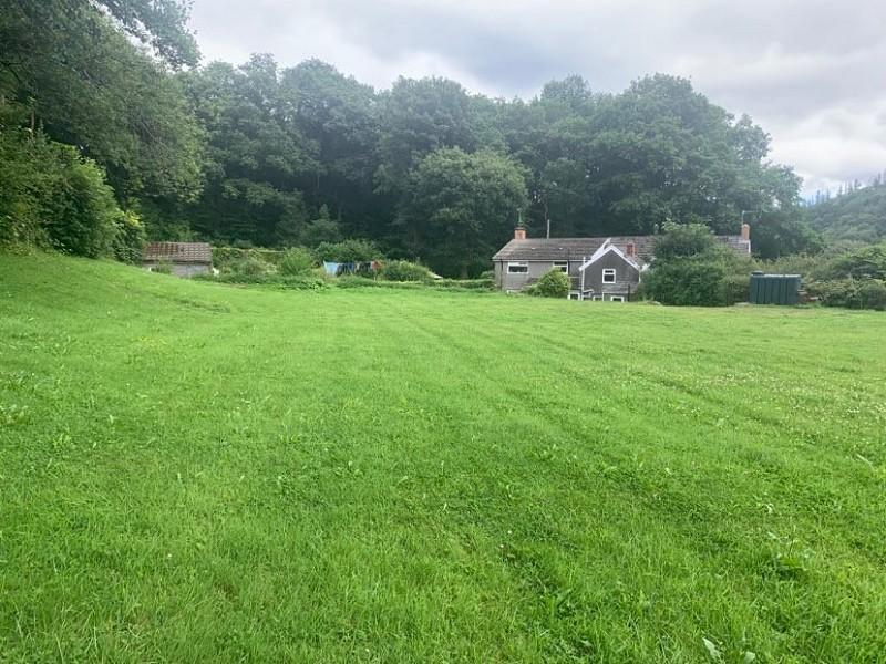 Field