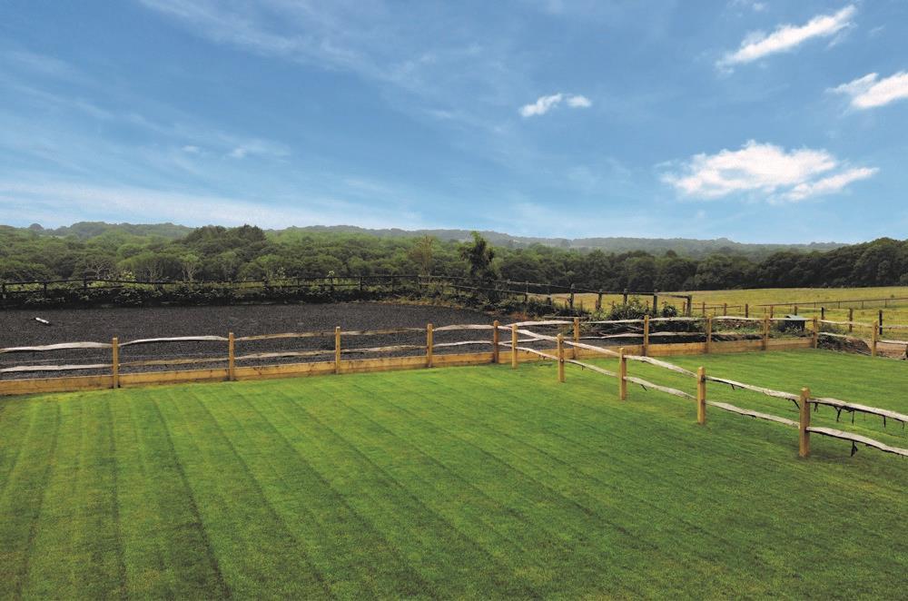 View Of Six Acre Copse