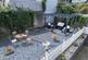 Additional image 27 of Plas Gwyn House and Cottage, Cader Road, Dolgellau LL40 1RH