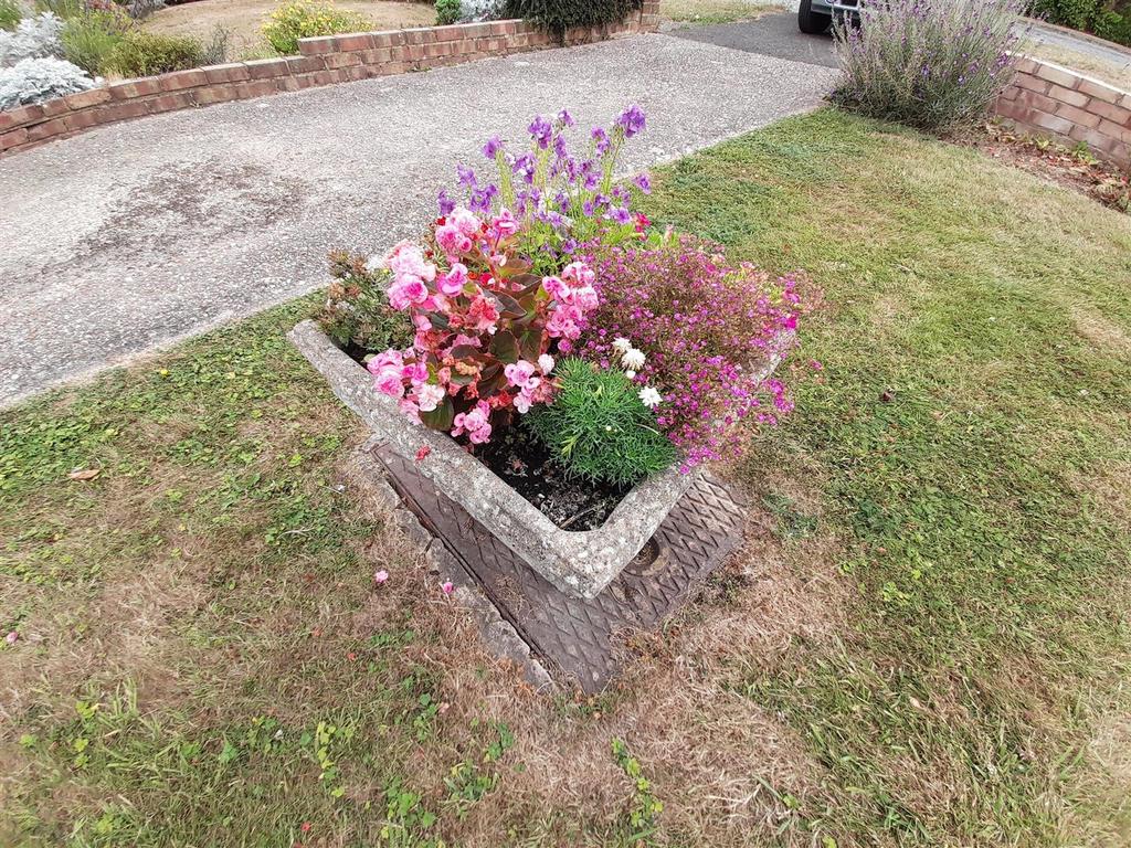 Flowers 1.jpg