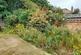 Rear garden 3.jpg