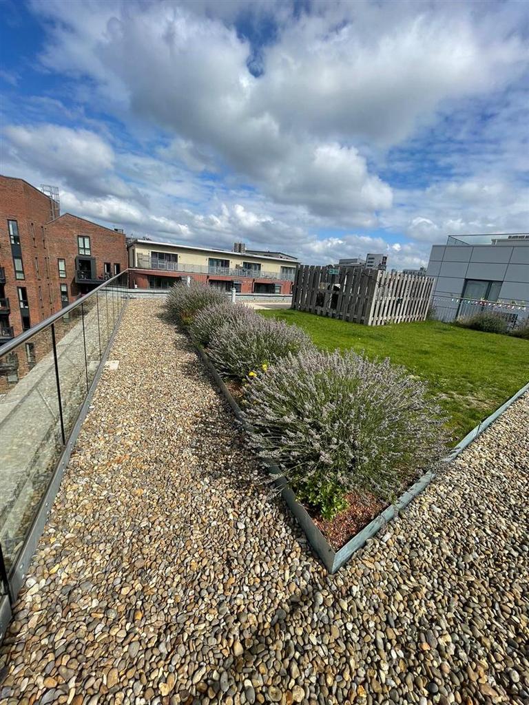 Roof Terrace