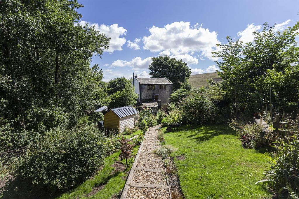 54.jpg