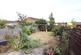 Garden.JPG
