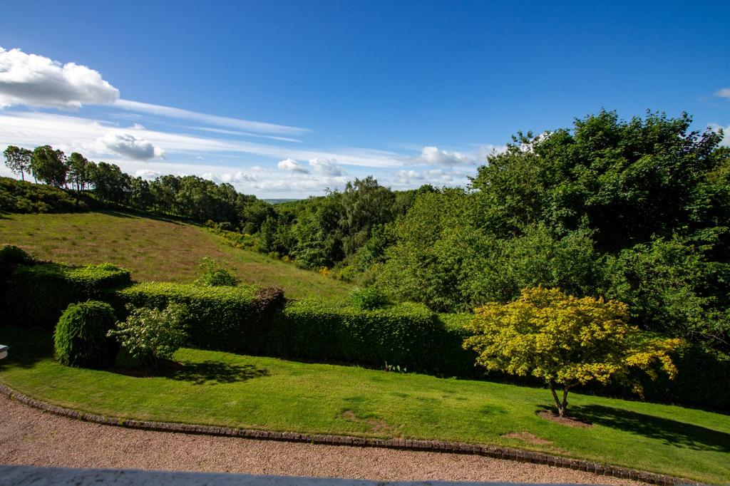 View From House