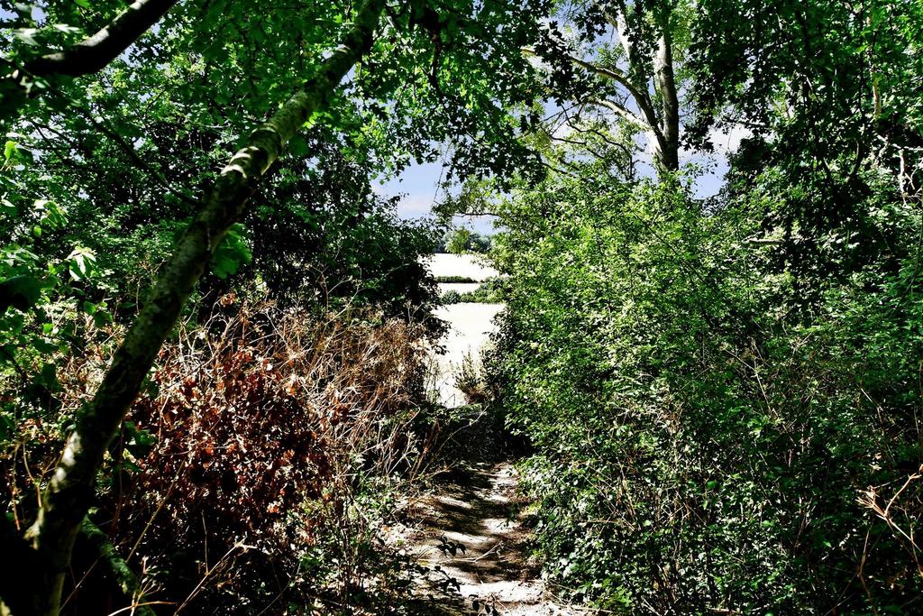 Surrounding Area
