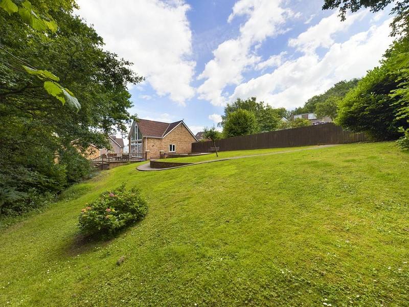 Rear Garden 4