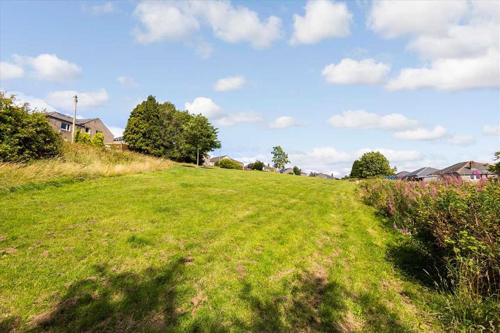 Surrounding Area