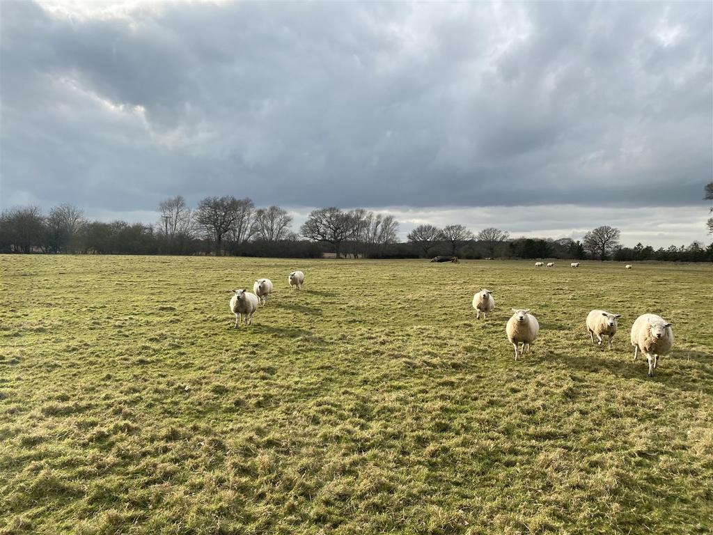 Moor Monkton, York Land £485,000