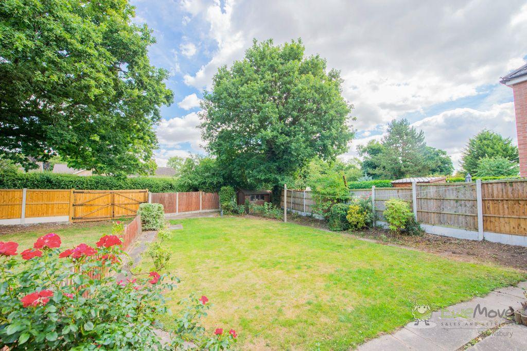 Garden at Back