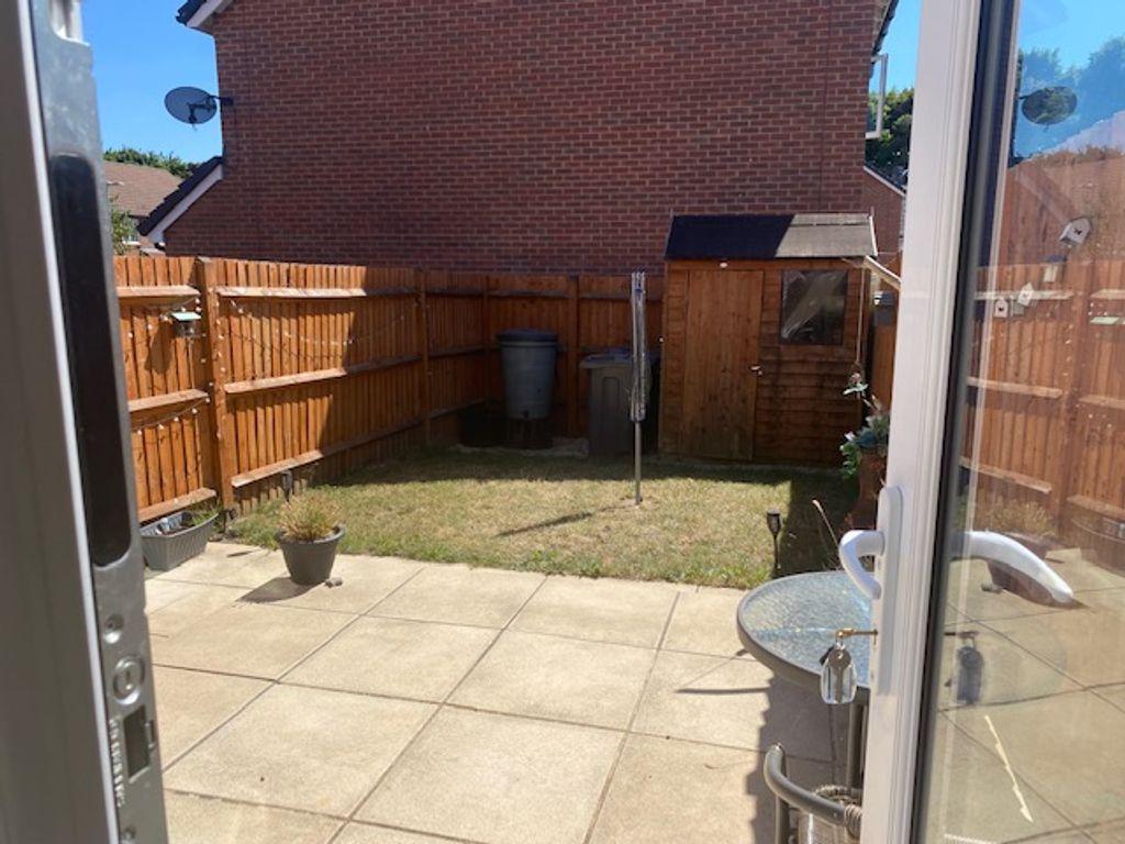 Garden at Back