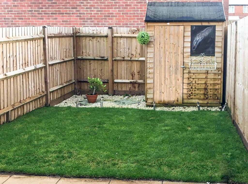 Garden at Back