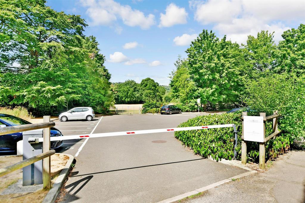 Driveway/Parking