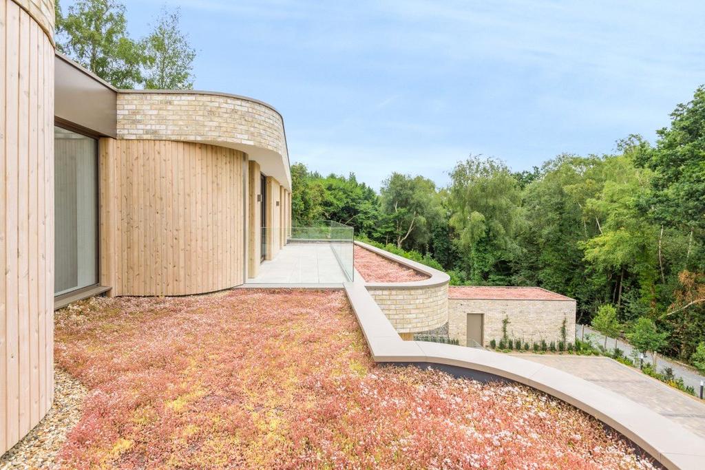 Living Roof