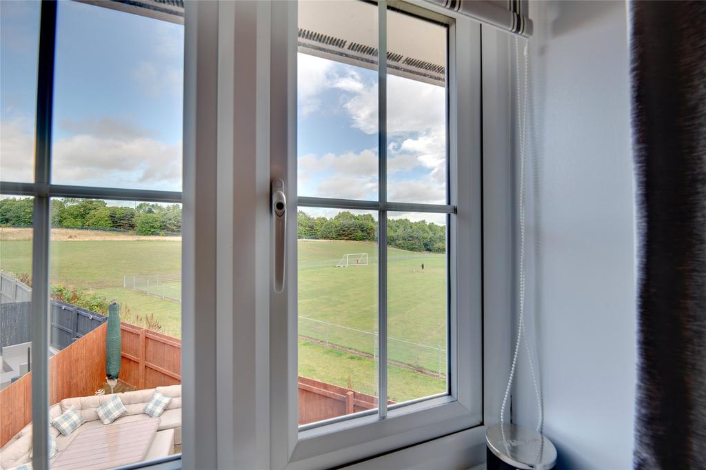 View From Window