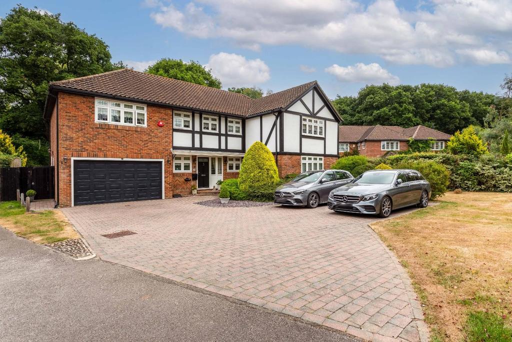 Silver Birches-30.jpg
