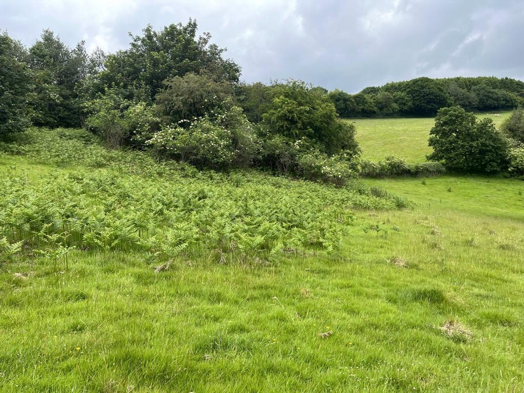 Pashley Road, Ticehurst, East Sussex, TN5 Land for sale £90,000