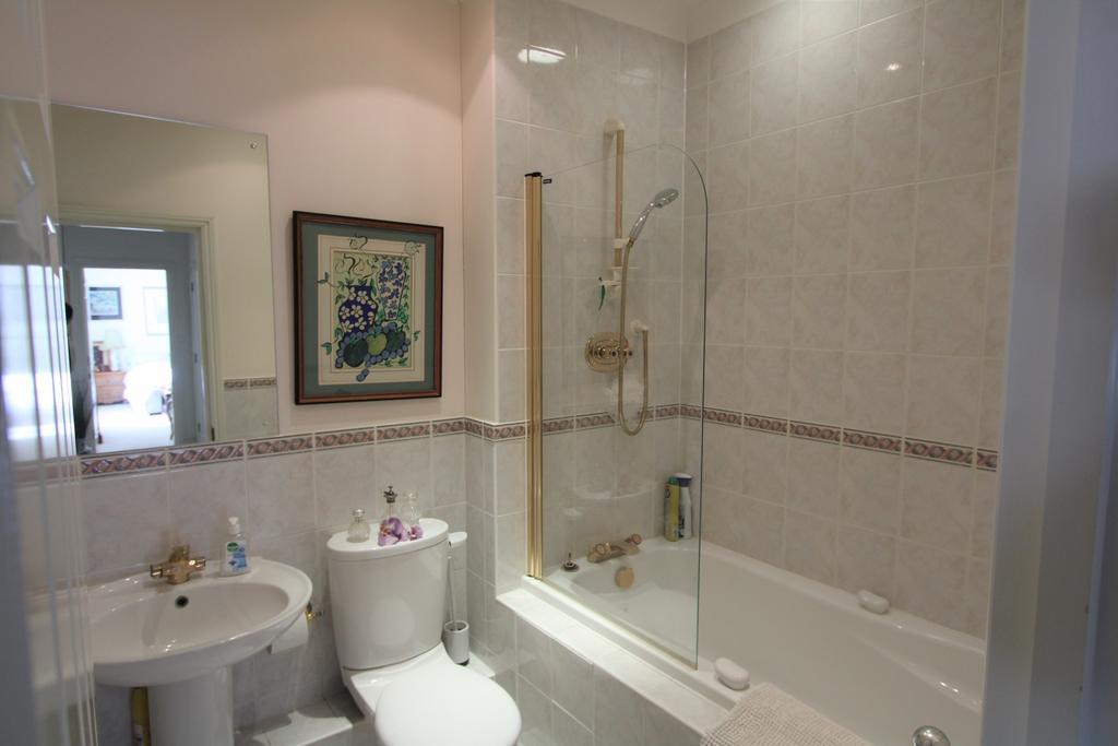 Img 0985